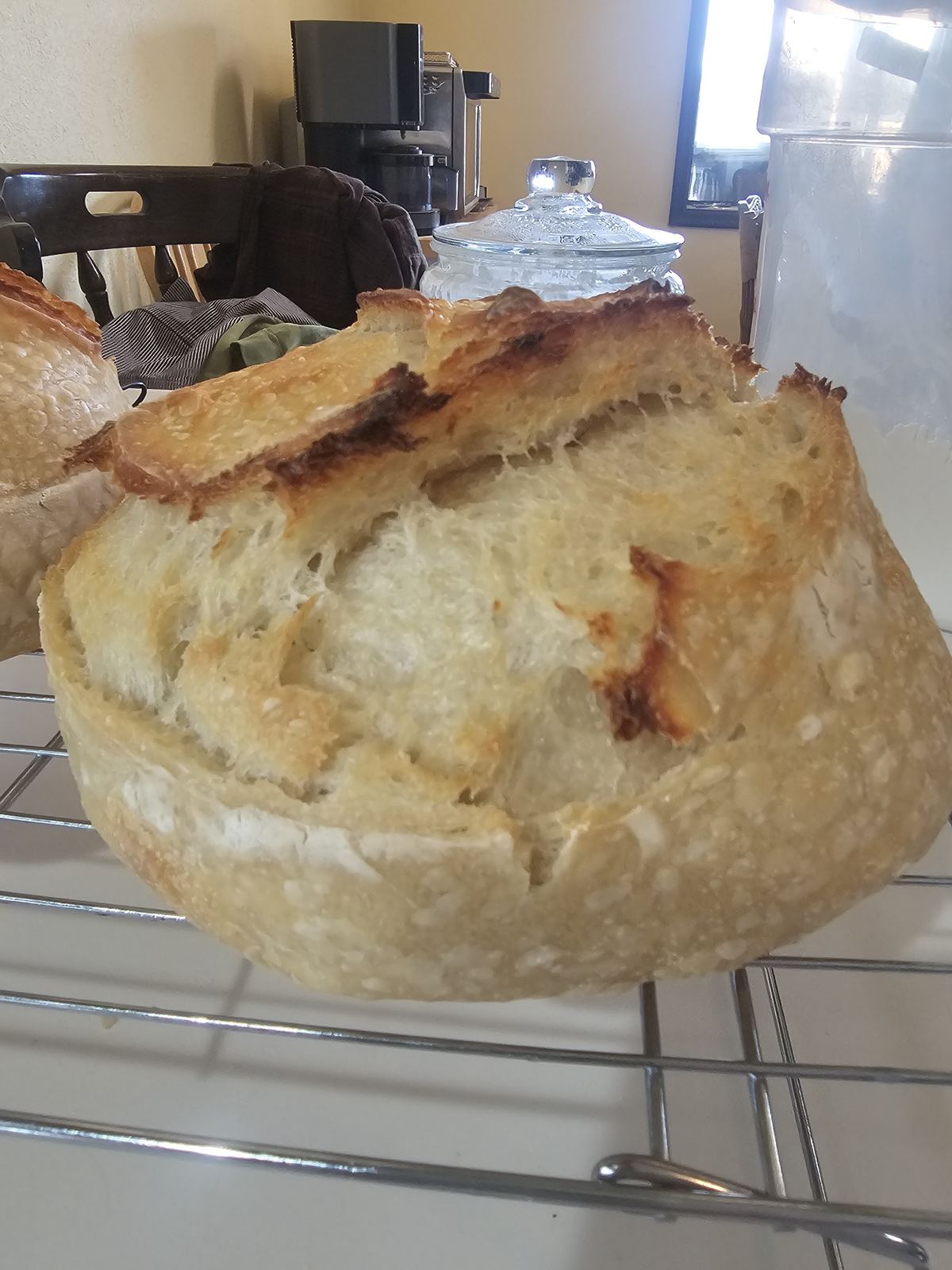 Mucky Flats sourdough — crackling crust and open crumb, side view